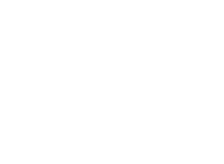 birdlife