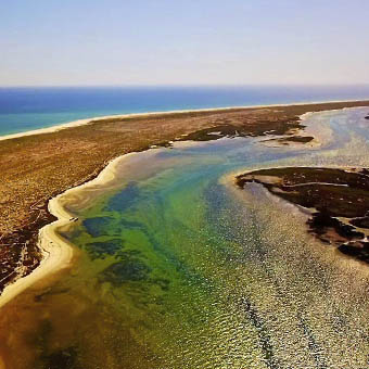 ria formosa algarve