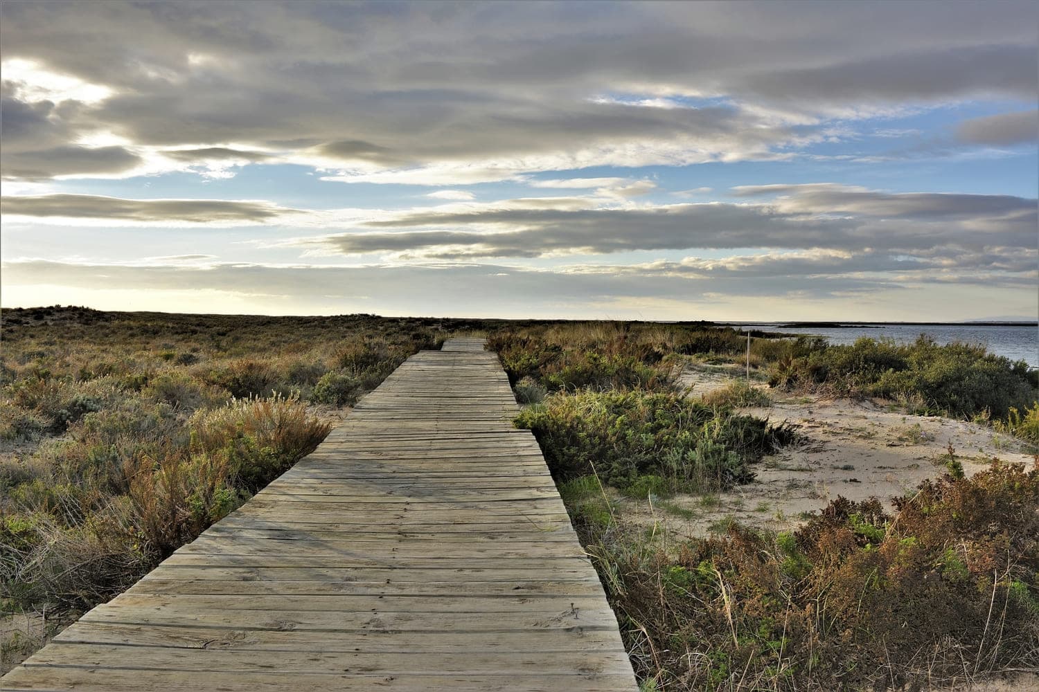 Ria Formosa e Ilhas Barreira