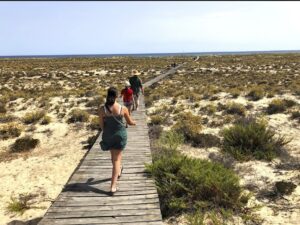 ilha deserta solo travelers