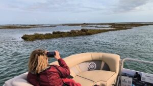 Ria Formosa Birdwatching