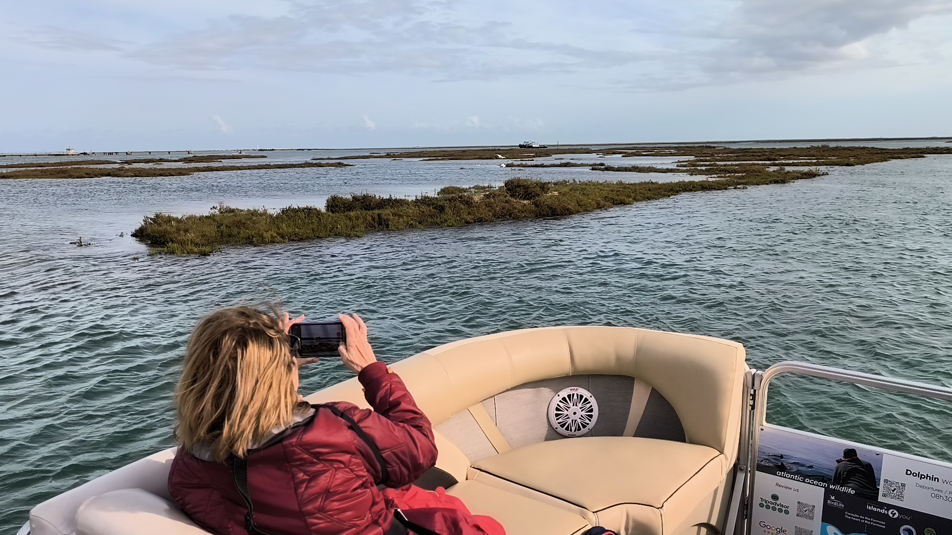 Ria Formosa Birdwatching